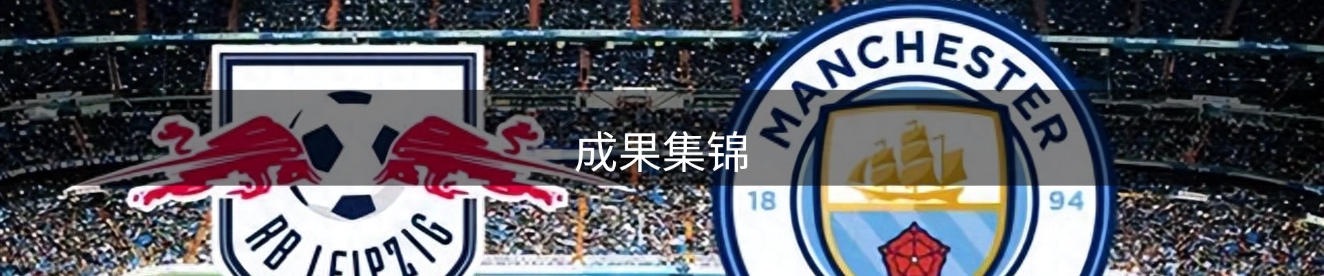 成果集锦